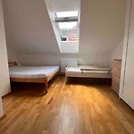V Brdech S Bazenem, Infra Saunou A Vybavenim * Mala Viska