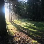 V Brdech S Bazenem, Infra Saunou A Vybavenim