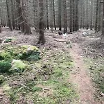 Willa V Brdech S Bazenem, Infra Saunou A Vybavenim