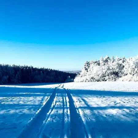 V Brdech S Bazénem, Infra Saunou A Vybavením * Mala Viska