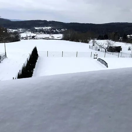 V Brdech S Bazenem, Infra Saunou A Vybavenim Willa