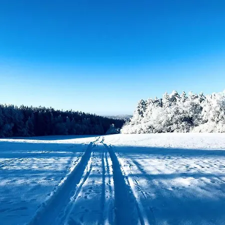 V Brdech S Bazénem, Infra Saunou A Vybavením * Mala Viska