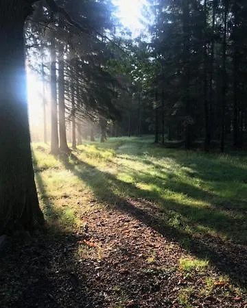 V Brdech S Bazénem, Infra Saunou A Vybavením