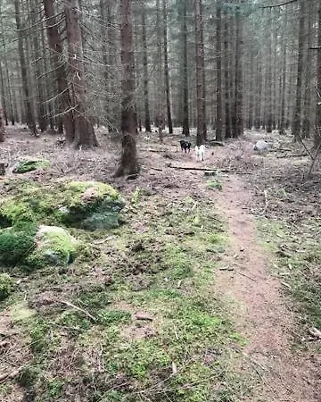Willa V Brdech S Bazenem, Infra Saunou A Vybavenim