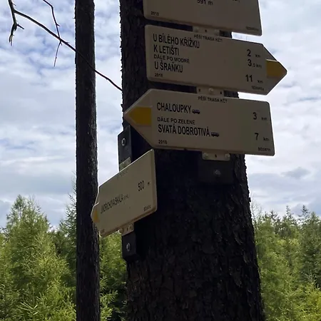 Villa V Brdech S Bazénem, Infra Saunou A Vybavením Mala Viska