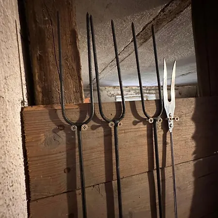 Villa V Brdech S Bazénem, Infra Saunou A Vybavením *