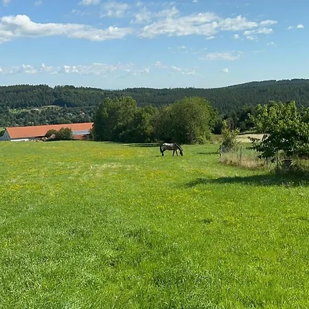 V Brdech S Bazénem, Infra Saunou A Vybavením *