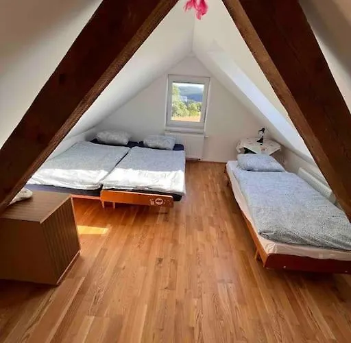 Willa V Brdech S Bazenem, Infra Saunou A Vybavenim Mala Viska