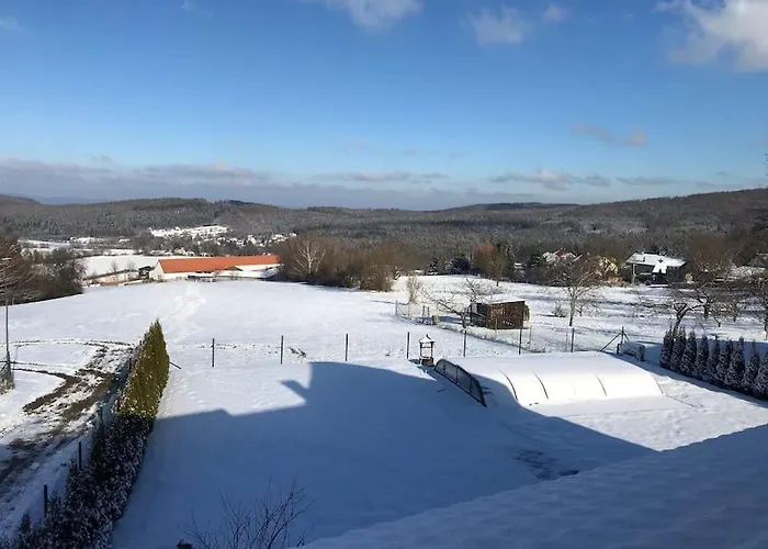 V Brdech S Bazenem, Infra Saunou A Vybavenim Willa *