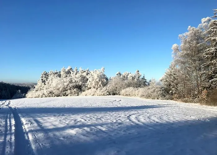 V Brdech S Bazenem, Infra Saunou A Vybavenim Willa