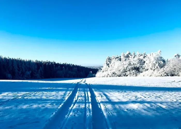 V Brdech S Bazenem, Infra Saunou A Vybavenim * Mala Viska